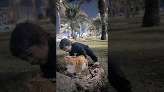 Adorable Baby's Epic Playtime with Furry Friend in the Park! #shortsfeed #shorts #catlovers