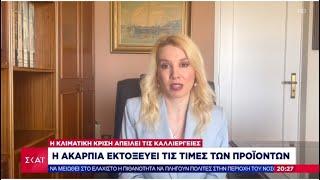 Η ακαρπία εκτοξεύει  τις τιμές των προϊόντων | Δάφνη Γρηγοριάδη Οικονομική Αναλύτρια