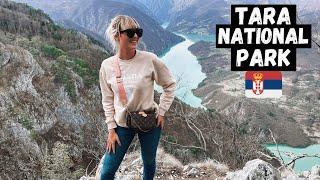 SHOCKED at SERBIA'S Natural PARADISE! Tara National Park! You Will Not BELIEVE This Is SERBIA!