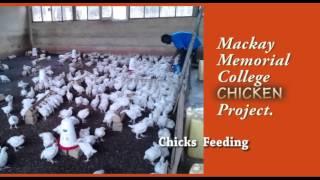 POULTRY PROJECT PLAN