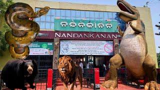 NANDANKANAN ||NANDANKANAN ZOOLOGICAL PARK ||#zoo#bhubaneswer#odisha