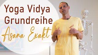 Asanas Extrem Exakt | Tadasana | Die Berghaltung |  Yoga Vidya