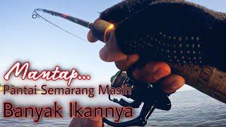 Mantap,...‼️Panen Strike Mancing di Pantai Semarang...