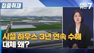 시설 하우스 3년 연속 수해…대체 왜? / KBS 뉴스7 대전 세종 충남 [집중취재] - 07월 22일 (월)