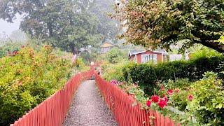 Stockholm Walks: Tanto park and gardens. Relaxing walk on a foggy September morning.