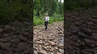 Редко бывает так, что за 10 минут поймано четыре хариуса весом около килограмма!  #рыбалка #хариус