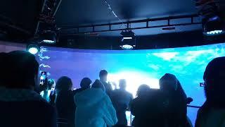 Big Screen room in Russia Sirius 