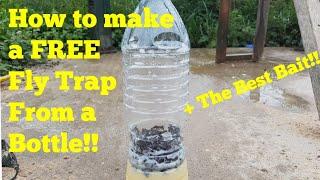 Step by step How to Make a diy fly trap for Free!!