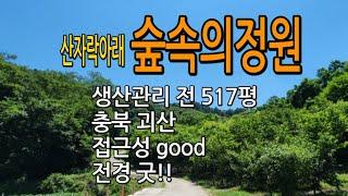 충청도 산골짜기 전망조은 오두막집 짓고 살고 시픈 곳 입니다...#충청도땅매매#괴산땅매매#충북토지매매#청천면토지매매#시골땅매매#시골집매매#전원주택매매#농가주택매매#경기도땅매매