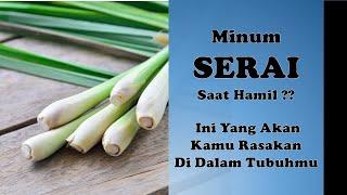 Minum Serai Saat Hamil ?? Ini Yang Akan Kamu Rasakan Di Dalam Tubuhmu