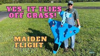 HUGE - BalsaUSA Northstar maiden flight off grass