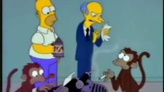 "Estávamos tan contentos...".¿¿ Estábamos con v chica?? ¡¡Mono tonto, estúpido!! - Los Simpson