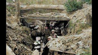 The Western Front | Nick Lloyd