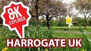 8K Explorer, Relaxing footage of Harrogate (The Stray) is a town in North Yorkshire, England