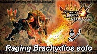 MH4U Raging Brachydios solo (Insect Glaive) - 9'16"96