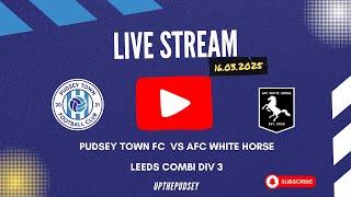Pudsey Town FC v AFC White Horse