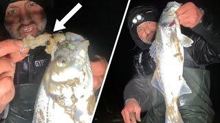 BASS FISHING IN ANGLESEY  | SUCCESSFUL BASS SESSION IN TOUGH CONDITIONS | MASTERFISHERMAN