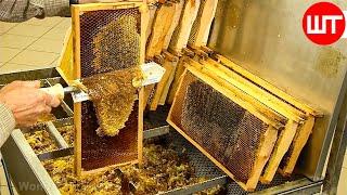 How It's Made Honey | Honey Cultivation and Processing