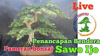 Seni Bonsai Ponorogo sedang live!