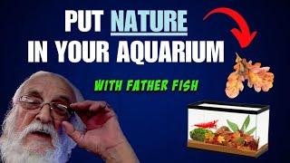 Create a Low Cost Beautiful Aquarium