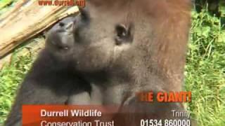 Durrell Wildlife