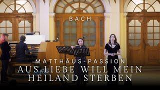 Bach: Aria "Aus Liebe will mein Heiland sterben" (Matthäus-Passion, BWV 244)