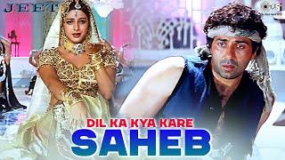 Dil Ka Kya Kare Saheb | Jeet |  Sunny Deol, Tabu | Kavita Krishnamurthy | 90's Hits