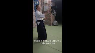 Aiki no jutsu Takeda Ryu - Tate Kote ori