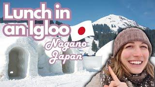Top Things to Do in Nagano Japan 2024