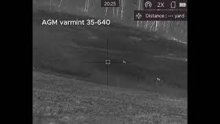 AGM varmint 35 640