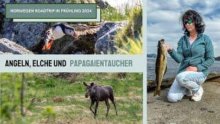#42 Camper Roadtrip in Südnorwegen | Wir gehen angeln | sehen Elche | Papageientaucher auf Runde
