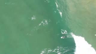 A little extended version, of Surfers and Sharks AVOCA Beach, "The Pines", NSW ,Australia