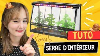 Faire pousser des légumes chez soi pas cher ! Une serre d'intérieur automatique !!!