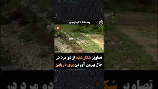 پری دریایی . واقعی