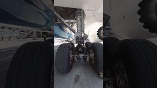 Main Landing Gear #dreamliner #b787 #boeing #shorts #aviationshorts #aviationlovers