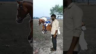 funny VFX magic video