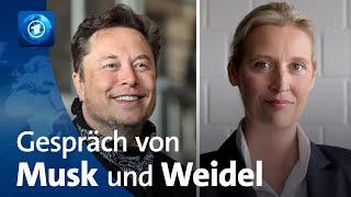 Experte ordnet geplantes Gespräch zwischen Musk und Weidel ein