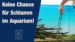JBL PROCLEAN AQUA EX - Bodenreinigung im Aquarium leicht gemacht