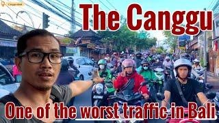 The Canggu || One of the worst traffic in Bali #canggu #bali #indonesia