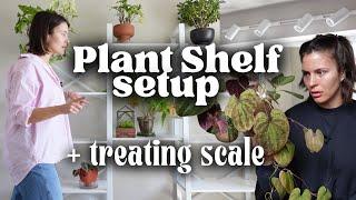 Plant Shelf Setup | New Growlight Install & Treating SCALE Houseplant