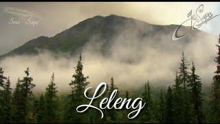 LELENG - JE SAPE (COVER) Sape Dayak Instrument