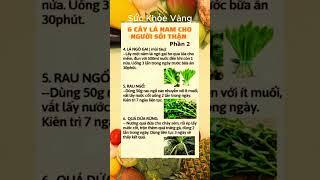 Bí Quyết Giữ Gìn Sức Khỏe Toàn Diện | Sức khỏe vàng #ChămSócSứcKhỏe #BảoVệSứcKhỏe #SốngKhỏeMỗiNgày