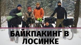 Лосиный остров | Велотуризм в подмосковье