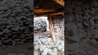 Shepherd Life in the Mountains | Fading Traditions in the Age of Modernization