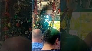 Sydney Buses during Christmas season #australia #sydney #shorts #christmas #indianinaustralia