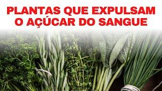 7 CHÁS MEDICINAIS QUE DIMINUEM AÇÚCAR NO SANGUE INSTANTANEAMENTE