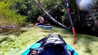 A Hidden Paddling Gem - Turkey Creek - Florida