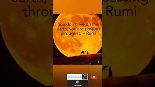 Rumi Quotes | New Sufi WhatsApp Status | Rumi | Dervish