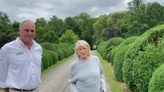 Martha Stewart & George Bridge Talk Boxwood & Topbuxus USA