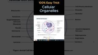 Remember Cellular Organelle in 48 secs